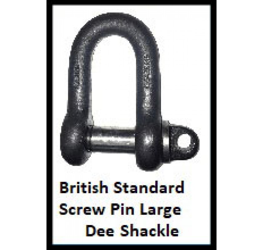 British Standard Screw Pin Large Dee Shackle Rope Services Direct